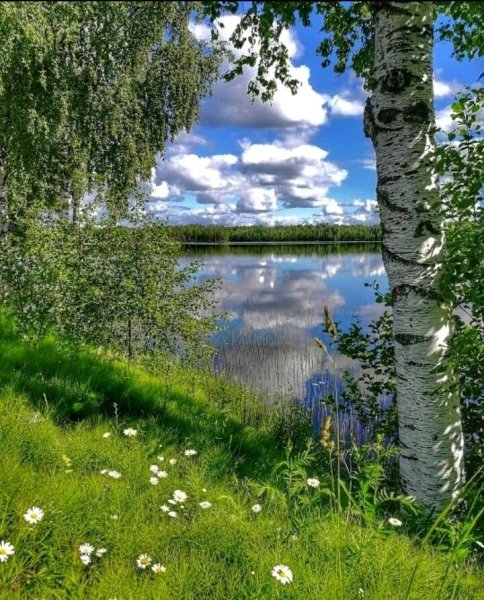 Красивые летние пейзажи
