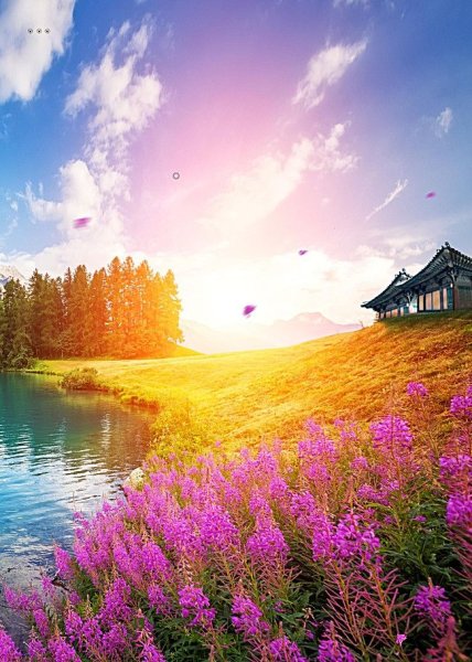 Лето река цветы