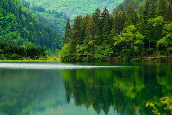 Лесное озеро (Forest Lake)