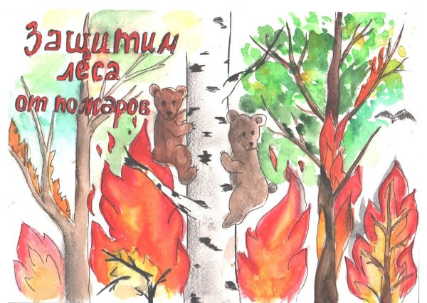 Рисунок на тему береги лес от пожара