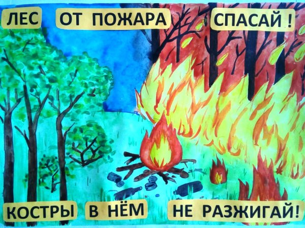 Сохраним леса от пожаров