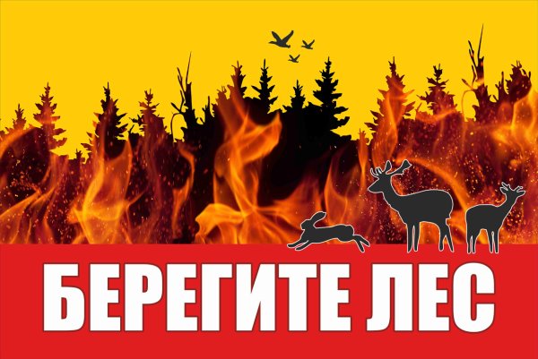 Плакат Защитим лес от пожара