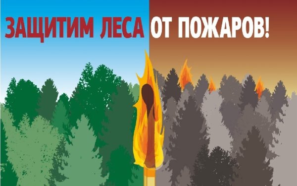 Рисунок береги лес