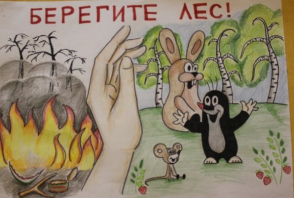 Плакат "берегите лес!"
