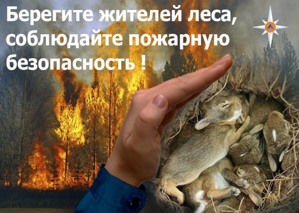 Рисунок на тему Лесные пожары