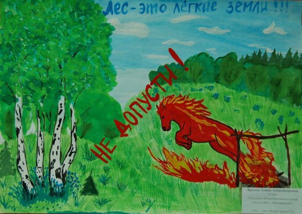 Сохраним леса от пожаров