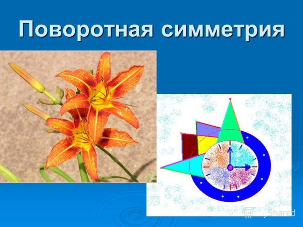 Поворотная симметрия