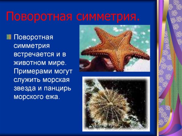 Поворотная симметрия в природе