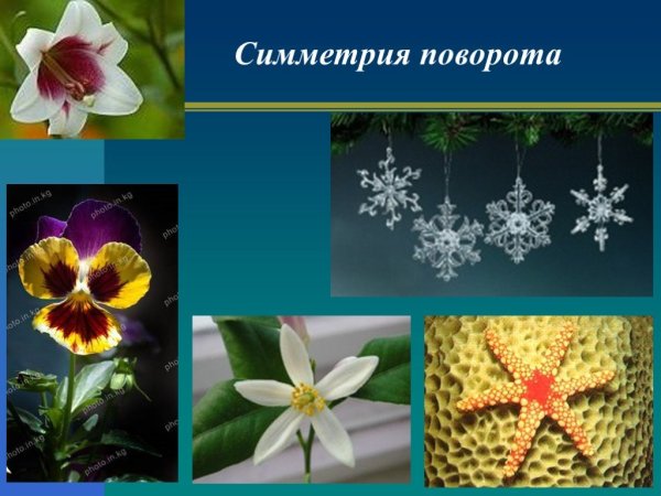 Поворотная симметрия