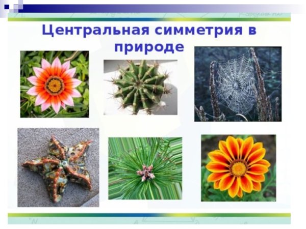 Центральная симметрия в природе
