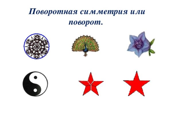 Правильные многоугольники в природе