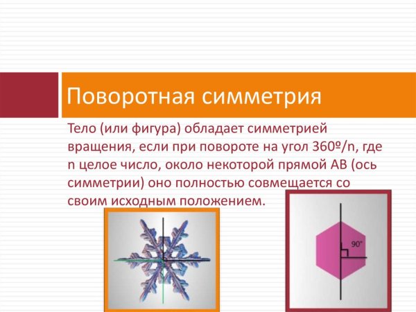 Осевая симметрия у растений