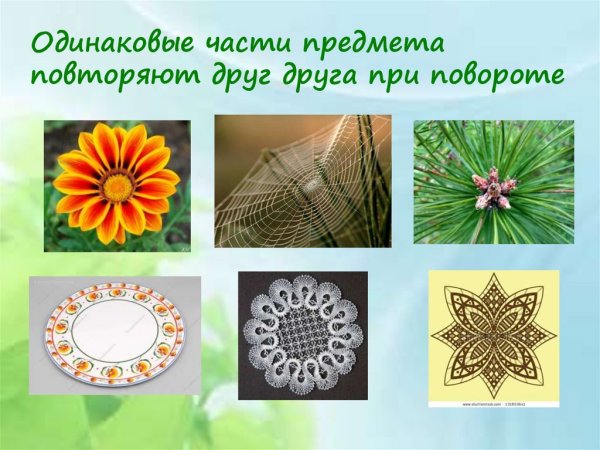 Симметрия в цветах