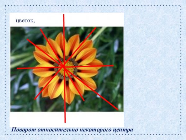 Ирис версиколор