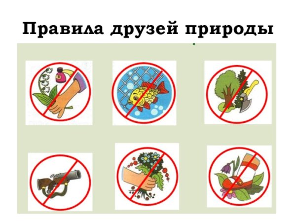 Знаки правил друзей природы