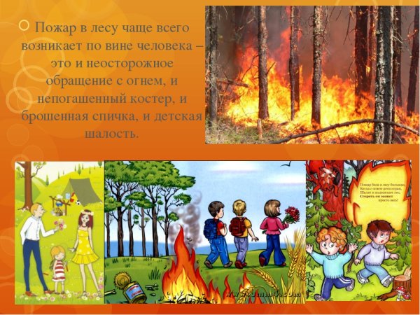 Пожарная безопасность в лесу для дошкольников