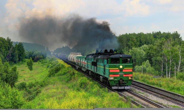 2тэ10м медведь