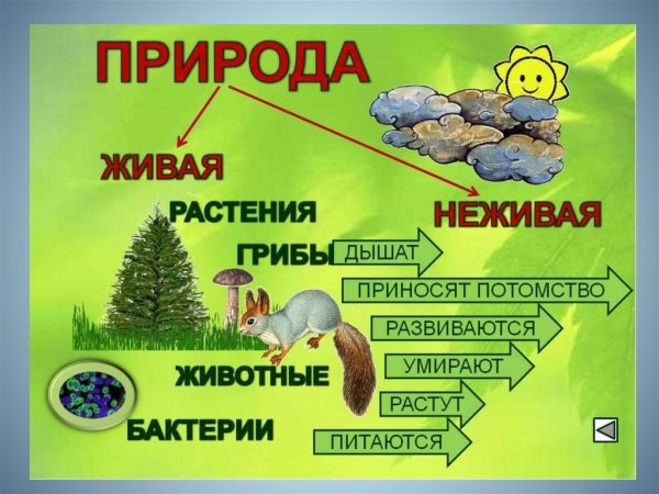 Будем природе другом