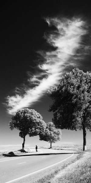 Картинки на рабочий стол черно белые