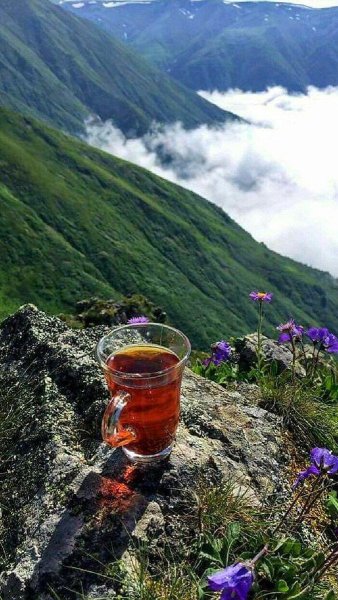 Чай в горах