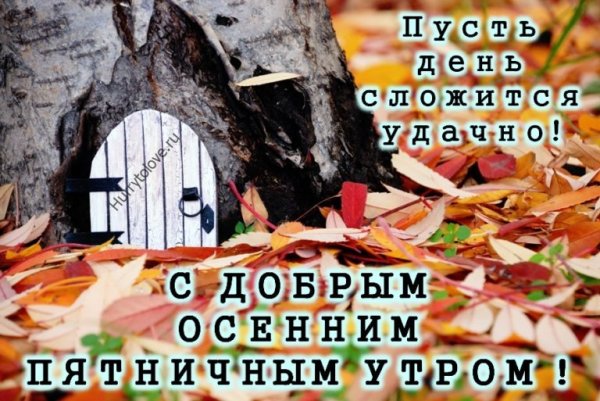 Доброе осеннее утро пятницы