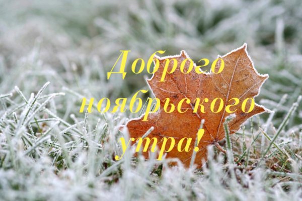 С до.рым ноябрьским утром