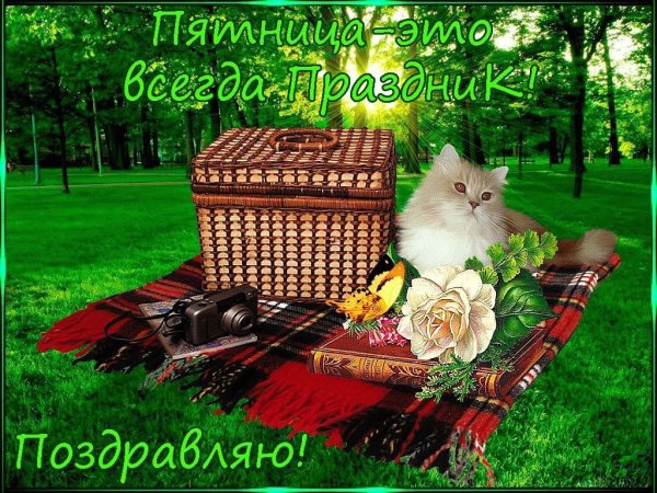 Отличного отдыха на даче
