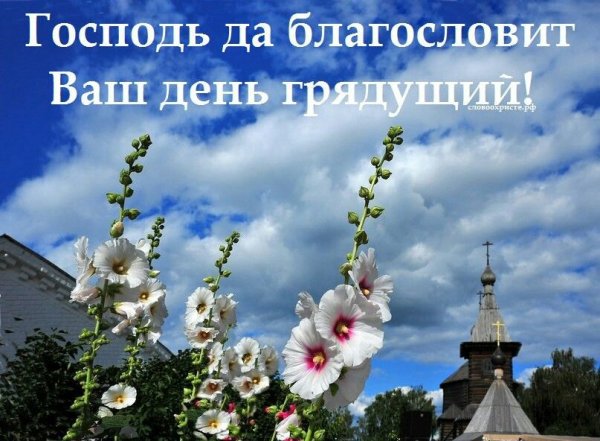 Доброе Весеннее утро благословенного дня