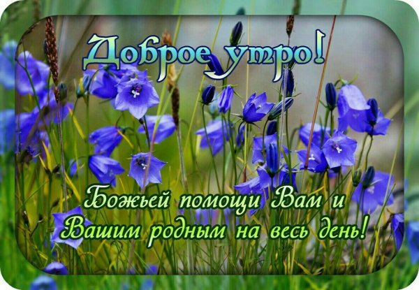 Доброе раннее утро