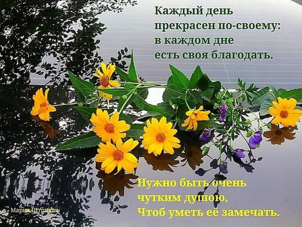 Пожелания с добрым утром с пейзажем осени?
