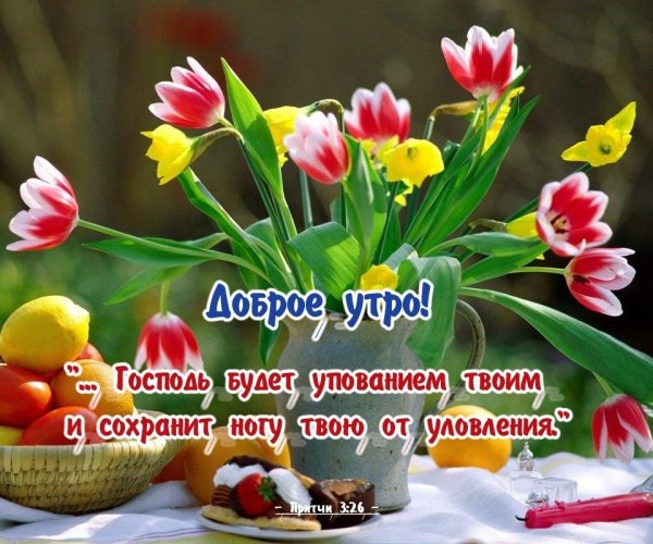 Чудесного весеннего утра и прекрасного настроения