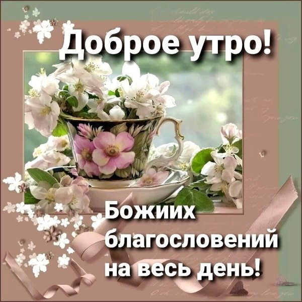 Доброе летнее утро со стихами