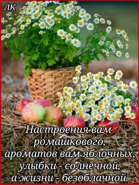 Летнего доброго утра и благословенного дня