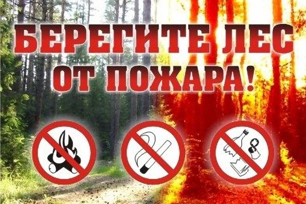 Пожарная безопасность в лесу