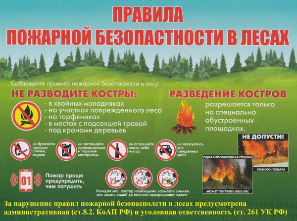 Берюгите лет от пожара