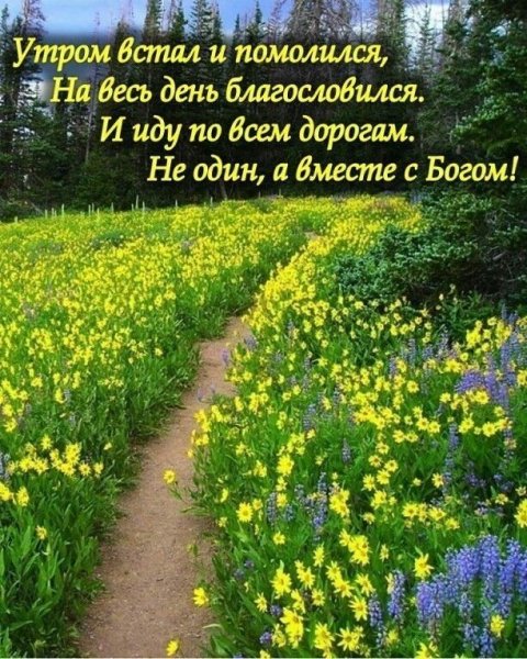 Доброе утро