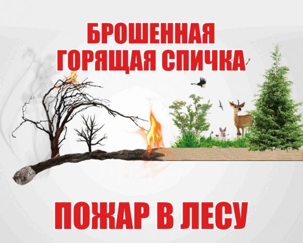 Берегите лес от пожара рисунки