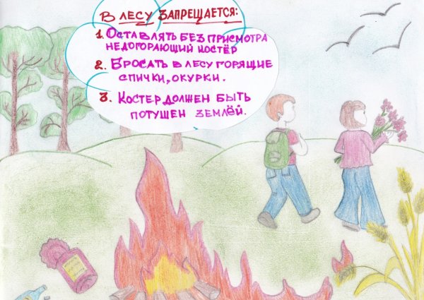 Плакат "берегите лес!"