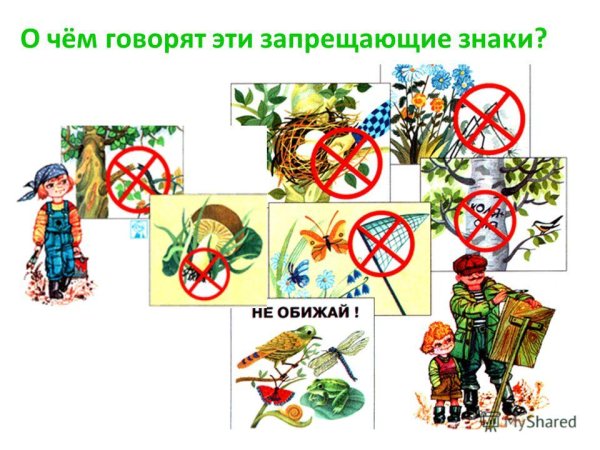Условные знаки правил поведения в природе