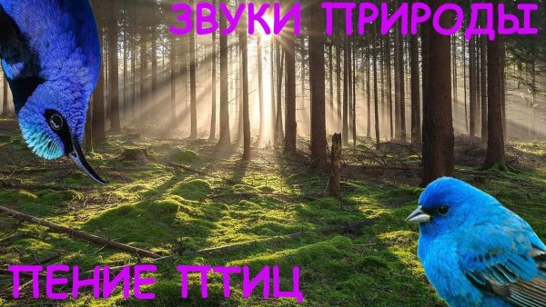 Природа водопад