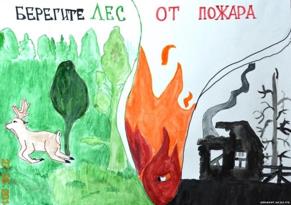 Плакат "берегите лес!"