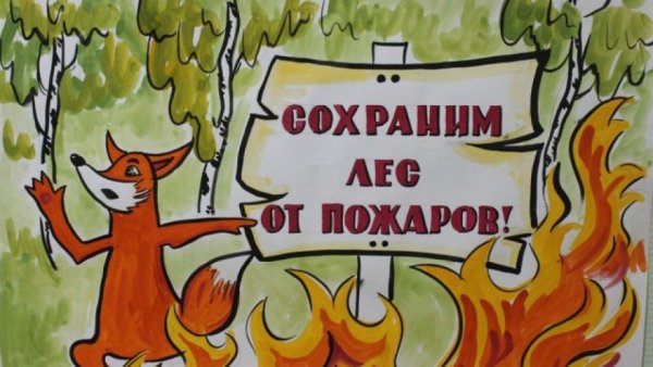 Рисунок береги лес