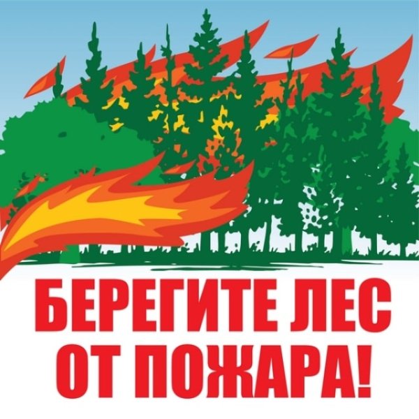 Рисунок на тему берегите лес от пожара