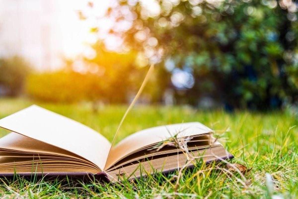 Книга на траве