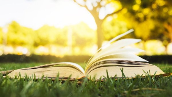 Книга на фоне природы