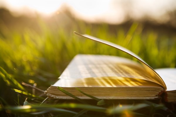 Лето с книгой