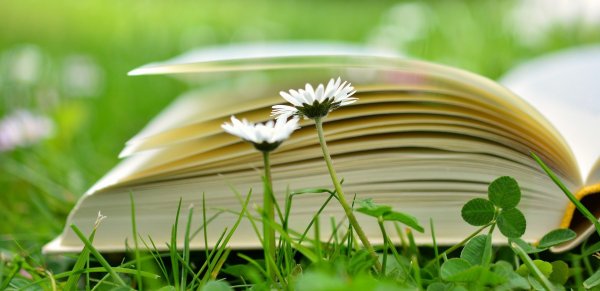 Книги на фоне весенней природы