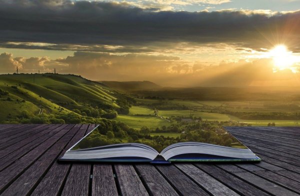 Книга природа