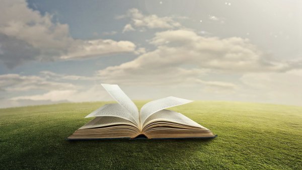 Книга природа