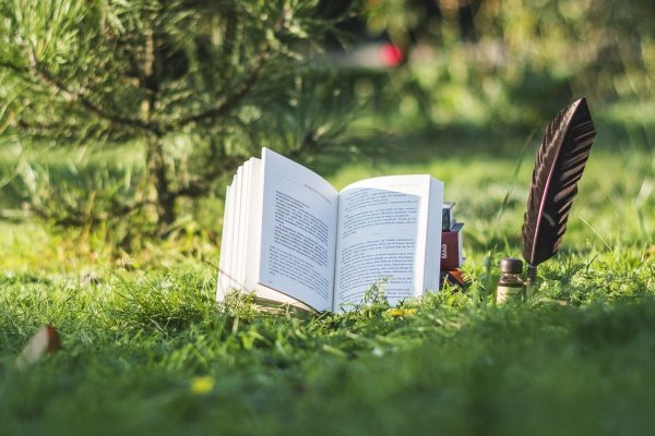 Книга на фоне природы